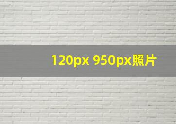 120px 950px照片